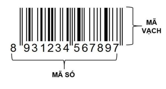 Mã vạch là gì? Nó gồm mã số và mã vạch
